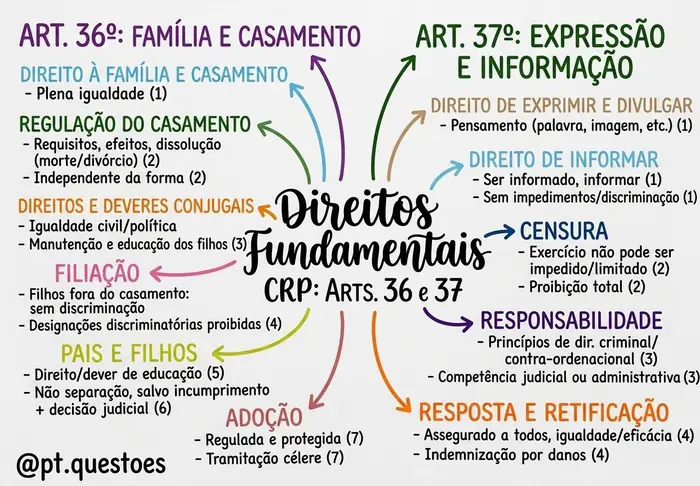 Amostra 5 dos mapas mentais da Constituição da República Portuguesa